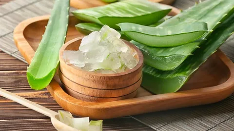 Frisches Aloe-Vera-Gel in Würfeln in einer Holzschale, daneben aufgeschnittene Aloe-Blätter